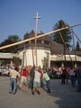 Maibaum aufstellen 19011637