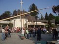 Maibaum aufstellen 19011644