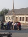 Maibaum aufstellen 19011681