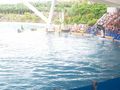 LorO ParQuE Teneriffa 46667079