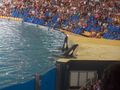 LorO ParQuE Teneriffa 46667107