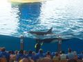 LorO ParQuE Teneriffa 46667139