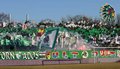 SK Rapid Wien 14664808