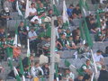 SK Rapid Wien - SV Ried  29.04.2007 19084269