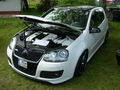 GTI Treffen 2008 42015332