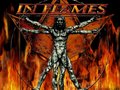 IN FLAMES 12554286