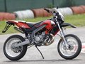 Moto Gp 12520760