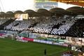 Sturm Graz 56275608