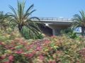 Urlaub mallorca 41622003