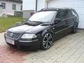 Meine Baby`s 52076179