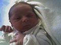 New born 15897014