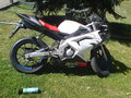 Meine Mopeds 18486104