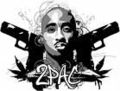 Tupac Amaru Shakur 44578664