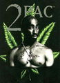 Tupac Amaru Shakur 44578683