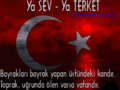 BOZKURT 4 ever 13295854