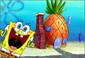 SpONgeBob   SchWAmMkoPf 19802931