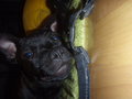 Charly II 25615336
