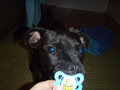 Charly II 25615759