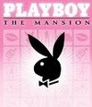 playboy 14093743