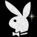 playboy 14093749