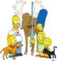 The Simpsons 15751488