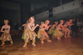 SZ-Ybbs Ball 2008 33141811