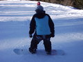 snowboarden 16516230