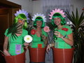 FASCHING 07 15601196