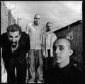 System of a down 30209825