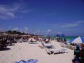 Playa del Carmen 11229697