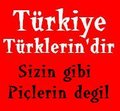 güzel türkiyem 12913712