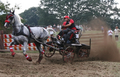 Turniere/Reiten 13801390