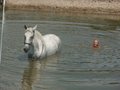 kleinesTeufelchen - Fotoalbum