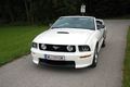 Ford Mustang fahren 62089373