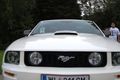 Ford Mustang fahren 62089424