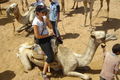 Sharm el Sheik Sommer 2008 53127151