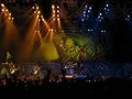 Iron Maiden 29316037