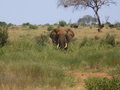 KENIA 2007 TEIL 1 18047917