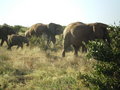 KENIA 2007 TEIL 1 18049134