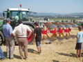 Österreichischer Fendt Feltag Melk 64267555