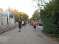 Sziget 2008 43560800