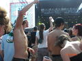 Sziget 2008 43562155