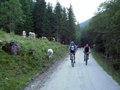 MTB-Lungauer Kalkspitze 15.07.2007 23869957