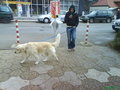 Mei Hund usw...  =) 13046889