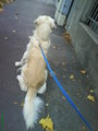 Mei Hund usw...  =) 17881653