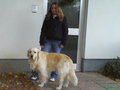 Mei Hund usw...  =) 17881658