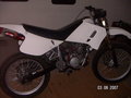 Moped neu 25007477