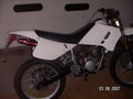 Moped neu 25007482