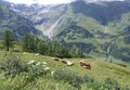 Großglockner am 25.07.2007 24914183