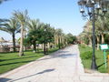 Hurghada 2009 64802021